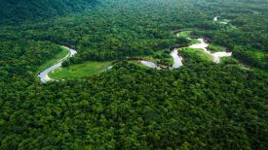 Governo cria duas contas setoriais e publica regras para redução de custos da geração e perdas na Amazônia Legal