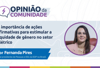 Fernanda Pires escreve: A importância de ações afirmativas para estimular a equidade de gênero no setor