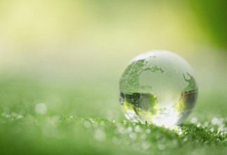 Close up of crystal globe resting on grass in a forest – environment concept
