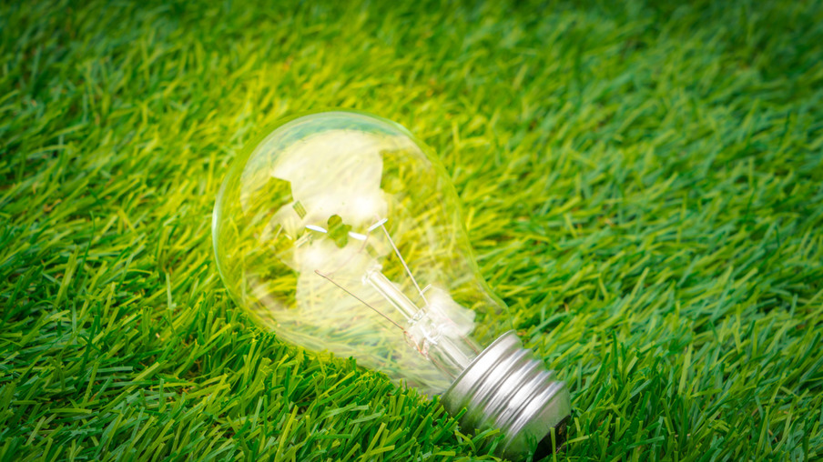 Eco concept – light bulb grow in the grass