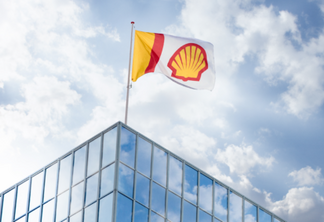 Shell pecten flag, 2016