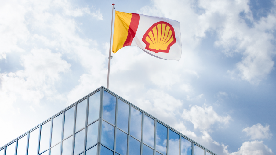 Shell pecten flag, 2016